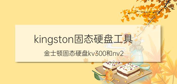 kingston固态硬盘工具 金士顿固态硬盘kv300和nv2？